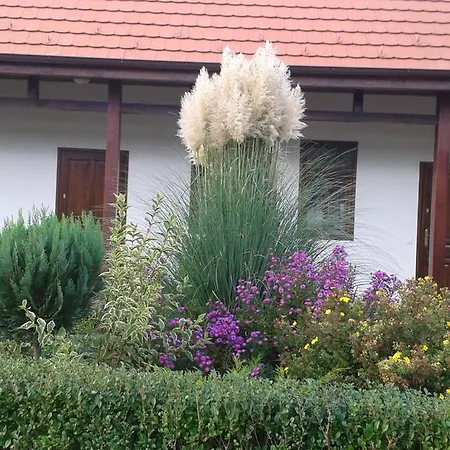 Guest house Tip-top Lak Vendeghaz *